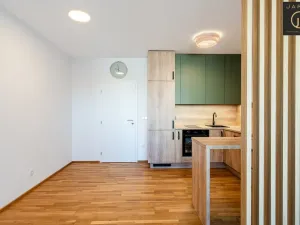 Pronájem bytu 1+kk, Kladno, Lesík, 33 m2