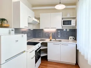Pronájem bytu 1+kk, Brno, Adamcova, 34 m2