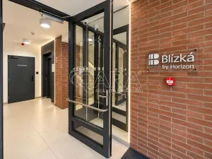 Pronájem bytu 1+kk, Praha - Karlín, Švarcova, 36 m2