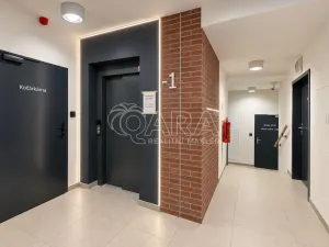 Pronájem bytu 1+kk, Praha - Karlín, Švarcova, 36 m2