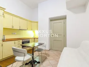 Pronájem bytu 1+kk, Praha - Vinohrady, Italská, 41 m2