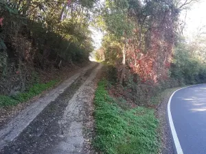 Prodej chaty, Libčice nad Vltavou, 114 m2