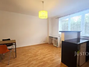 Pronájem bytu 1+kk, Písek, Přemyslova, 28 m2