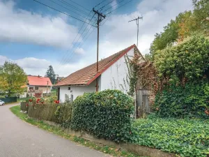 Prodej chalupy, Míčov-Sušice, 90 m2