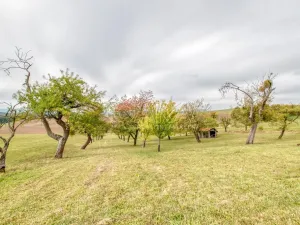 Prodej zahrady, Starý Jičín - Janovice, 10274 m2