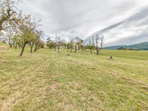 Prodej zahrady, Starý Jičín - Janovice, 10274 m2