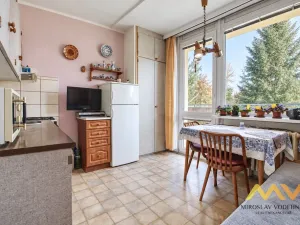 Prodej bytu 1+1, Hradec Králové - Pražské Předměstí, Jungmannova, 36 m2