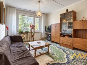 Prodej bytu 1+1, Hradec Králové - Pražské Předměstí, Jungmannova, 36 m2