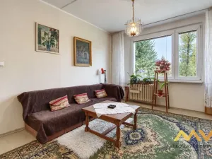 Prodej bytu 1+1, Hradec Králové - Pražské Předměstí, Jungmannova, 36 m2