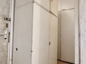 Prodej bytu 1+1, Hradec Králové - Pražské Předměstí, Jungmannova, 36 m2