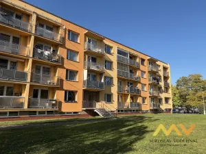 Prodej bytu 1+1, Hradec Králové - Pražské Předměstí, Jungmannova, 41 m2