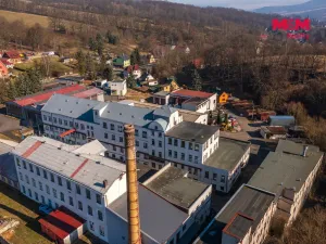 Pronájem výrobních prostor, Jílové - Modrá, 330 m2