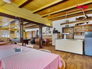 Prodej restaurace, Mařenice - Dolní Světlá, 598 m2