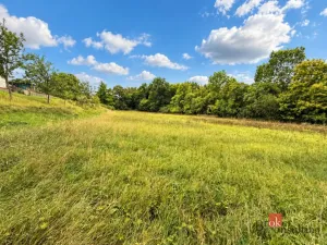 Prodej pozemku pro bydlení, Krhov, 8750 m2