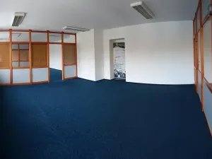 Pronájem komerčního pozemku, Osov, 250 m2