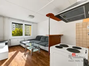 Prodej bytu 1+1, Plzeň - Severní Předměstí, Brněnská, 48 m2