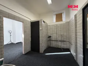 Pronájem obchodního prostoru, Karviná - Ráj, Ciolkovského, 56 m2