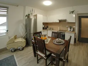 Pronájem bytu 3+kk, Plzeň, Skvrňanská, 65 m2