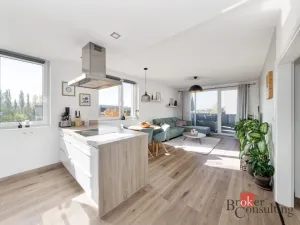 Prodej bytu 3+kk, Plzeň - Újezd, Halštatská, 88 m2