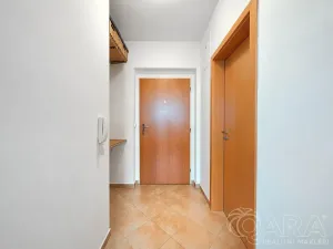Prodej bytu 1+kk, Praha - Záběhlice, Ve slatinách, 30 m2