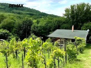 Prodej chalupy, Pincehely, Maďarsko, 145 m2