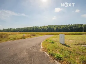 Prodej pozemku pro bydlení, Stavenice, 1092 m2