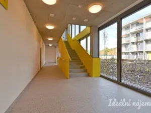 Pronájem bytu 1+kk, Brno - Maloměřice, Pod Kavkami, 27 m2