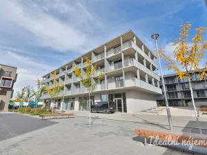 Pronájem bytu 1+kk, Brno - Maloměřice, Pod Kavkami, 27 m2