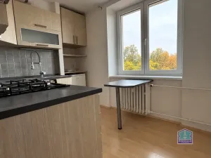 Pronájem bytu 1+1, Plzeň - Východní Předměstí, Spojovací, 35 m2