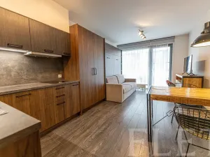 Pronájem bytu 1+kk, Praha - Karlín, Sokolovská, 31 m2