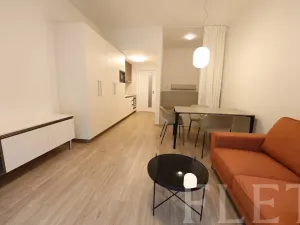 Pronájem bytu 1+kk, Praha - Žižkov, Hartigova, 38 m2