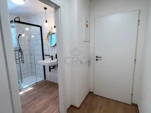Pronájem bytu 2+kk, Brno - Štýřice, Sovinec, 42 m2