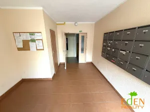 Pronájem bytu 1+kk, Plzeň, Dlouhá, 20 m2