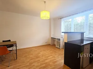 Pronájem bytu 1+kk, Písek, Přemyslova, 28 m2