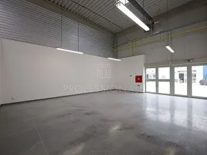 Pronájem skladu, Praha - Malešice, Tiskařská, 205 m2