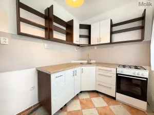 Prodej bytu 2+1, Duchcov, Sadová, 50 m2