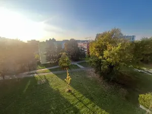Pronájem bytu 1+kk, Praha - Karlín, Nekvasilova, 27 m2