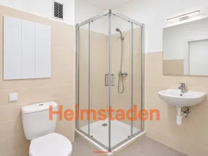 Pronájem bytu 1+kk, Havířov - Město, Mánesova, 19 m2