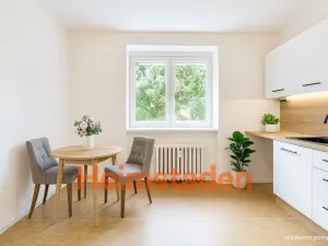 Pronájem bytu 1+1, Havířov - Šumbark, Opletalova, 28 m2
