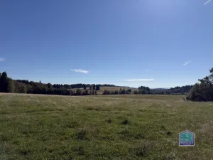 Prodej louky, Lesná - Stará Knížecí Huť, 410390 m2