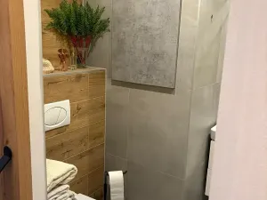 Pronájem bytu 1+1, Plzeň, Rabštejnská, 39 m2