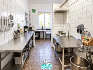 Pronájem výrobních prostor, Světec, Kostomlatská, 150 m2