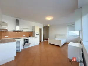 Pronájem bytu 1+kk, Plzeň - Jižní Předměstí, Bendova, 33 m2