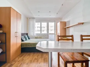 Prodej bytu 1+kk, Ostrava - Moravská Ostrava, U Parku, 29 m2