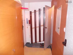 Prodej bytu 1+kk, Most, Růžová, 27 m2