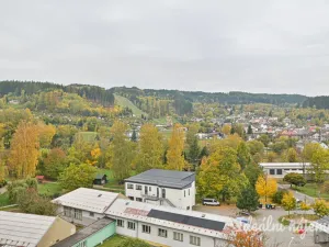 Pronájem bytu 1+1, Česká Třebová - Parník, Dr. E. Beneše, 35 m2