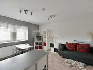 Pronájem bytu 1+kk, Týnec nad Sázavou - Chrást nad Sázavou, 30 m2