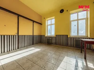 Prodej činžovního domu, Nová Ves - Vepřek, 600 m2