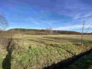 Prodej pole, Vodňany - Újezd, 2663 m2