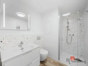 Pronájem bytu 1+kk, Plzeň - Jižní Předměstí, Železná, 28 m2